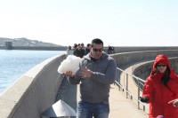 /album/serra-da-estrela/a1534708-298466770301982-559535892-o-jpg/