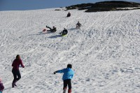 /album/serra-da-estrela/a1556371-298467500301909-73227398-o-jpg/