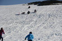 /album/serra-da-estrela/a1669741-298467480301911-237105608-o-jpg/