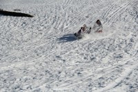 /album/serra-da-estrela/a1932579-298467580301901-993492332-o-jpg/